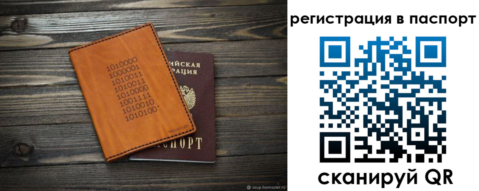 прописка для школы в Кургане